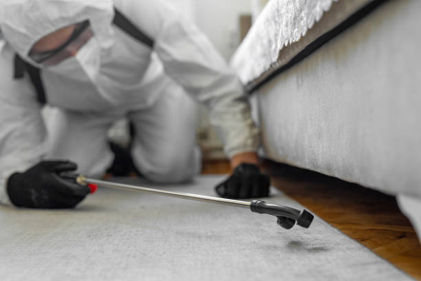 Professional Termite Control technician working in Kirtland, OH