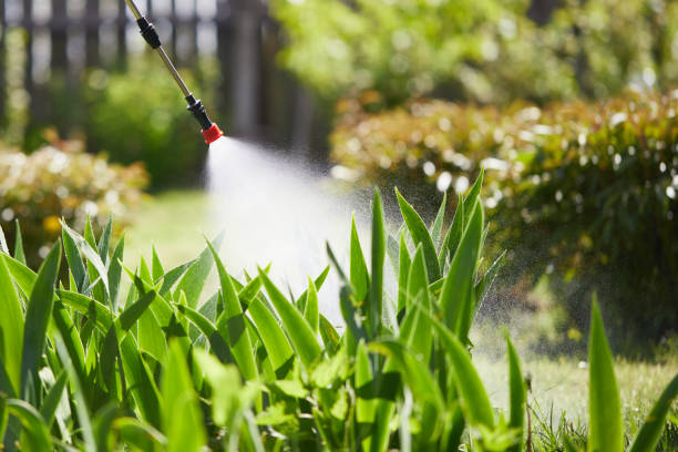 24/7 Emergency Termite Control experts in Kirtland, OH