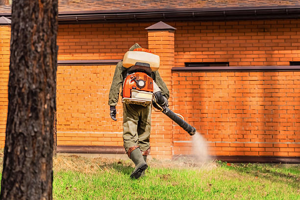 Trusted Bed Bug Control service in Kirtland, OH - Nex Pest Control
